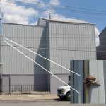Bird Killing Building on the Loose