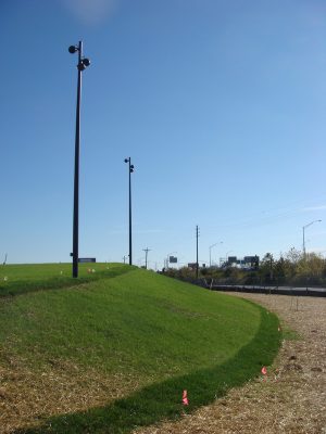 The Grass Has Begun To Grow
