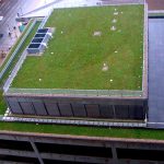 Green roof at the American Life building