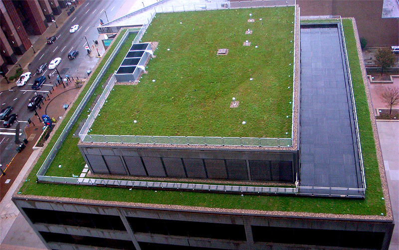 Green roof at the American Life building