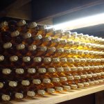 Inside Felice Vineyards