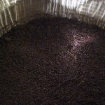 Inside Felice Vineyards