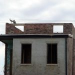 Little Green Building under renovation (BS File Photo)