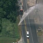 Video: Water Main Break Devours a Tree