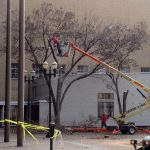 Tree Massacre at National City Tower