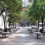 The Plaza Once With Mature Trees