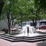 The Plaza Once With Mature Trees