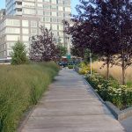 Boardwalk at Hudson River Park