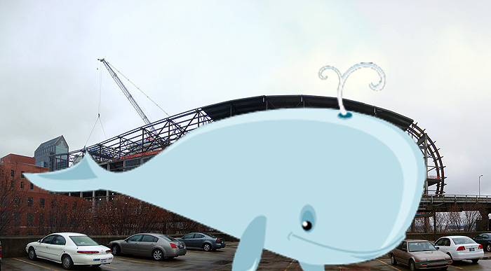 Is the arena a whale?