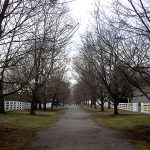 Gravel road at Pleasant Hill (BS File Photo)