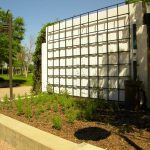 New rain garden on the Belvedere (Broken Sidewalk)