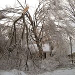 2009 ice storm on my Louisville street. (Courtesy Allen Bush)