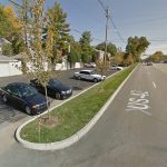 The Kentucky Transportation wants to remove street trees from this stretch of Brownsboro Road. (Courtesy Google)