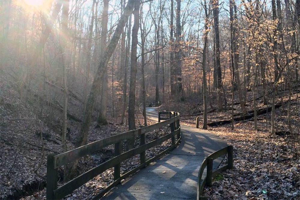 A trail in Jefferson Memorial Forest. (Courtesy Metro Parks)